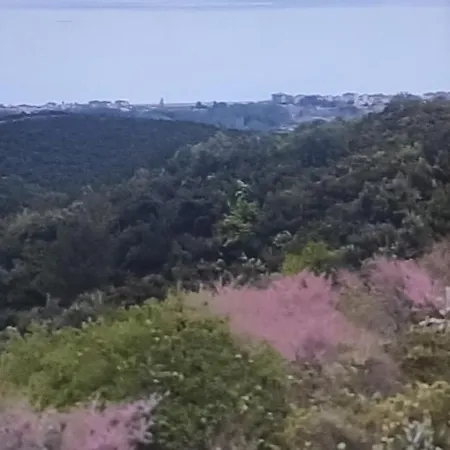 πανοραμα * Aigani