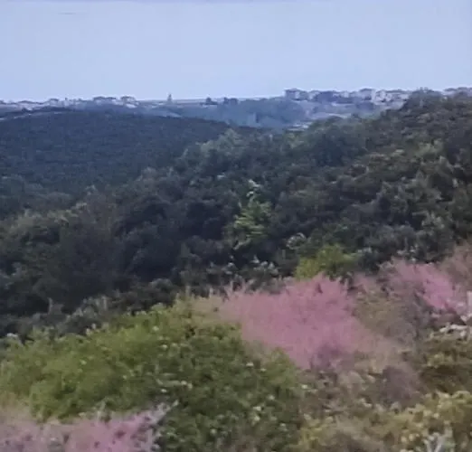 πανοραμα * Aigani